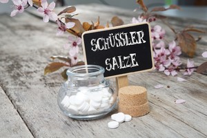 Schüssler Salze - Grundlagen 1