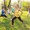 Outdoor Funktionstraining MI 24.06.26 - 19.00 Uhr