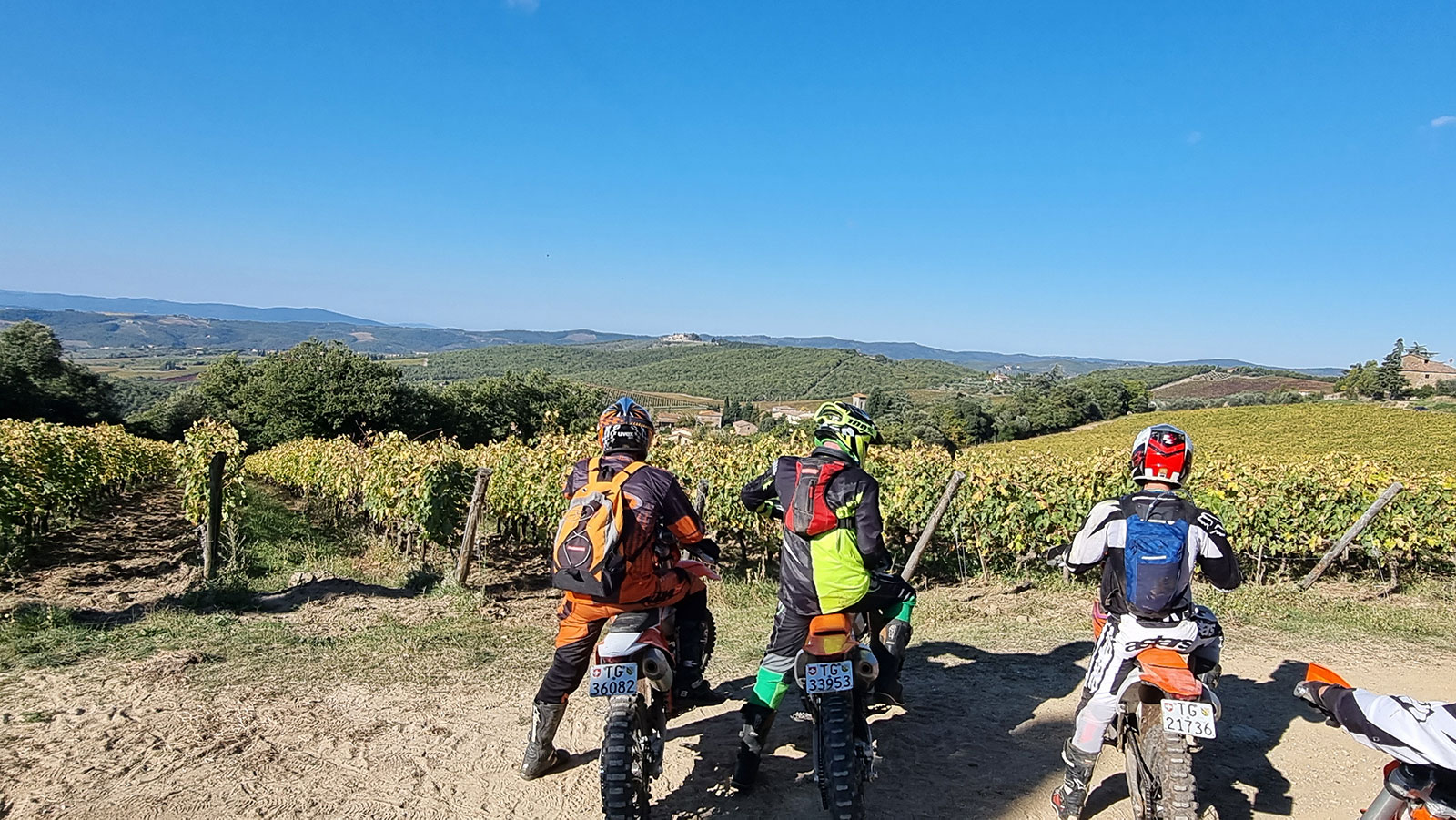 Chianti Classico Weinberge