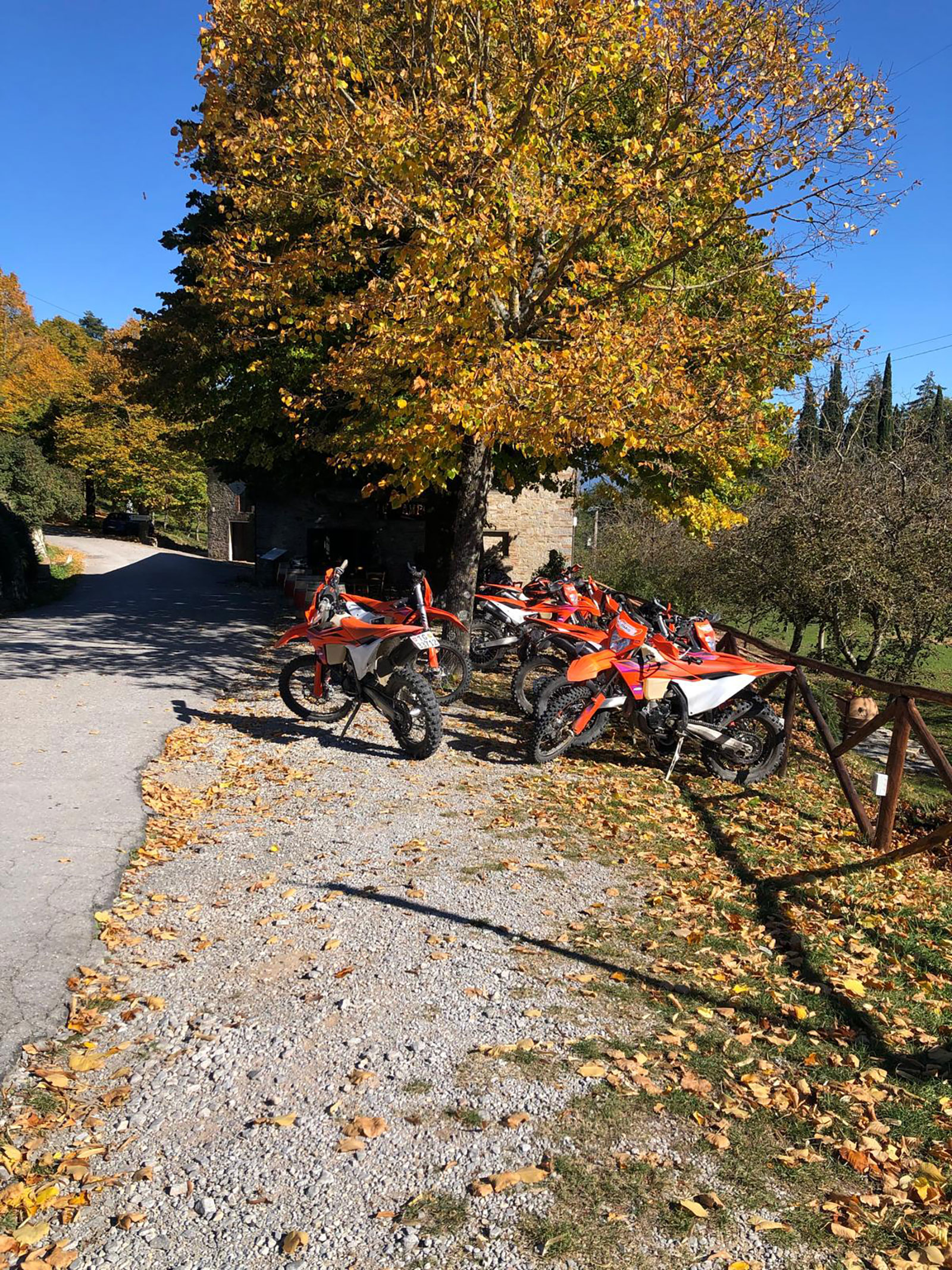 Chianti Mietmotorräder unter Baum
