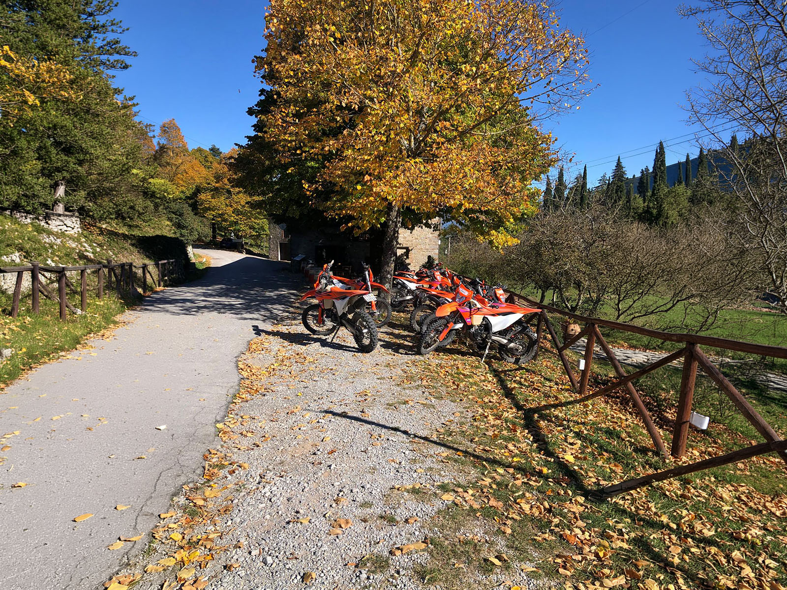 Chianti Mietmotorräder unter Baum
