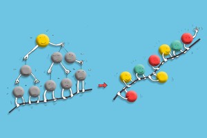 ESG Strategy Crash Course (english)