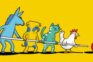 Collaborative and agile strategy development (EN)