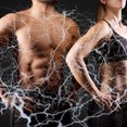 EMS Metabolic Expert August 2025 (English)
