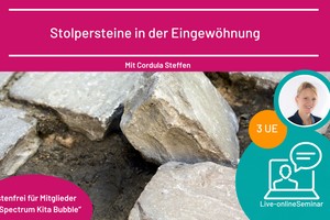 Stolpersteine in der Eingewöhnung