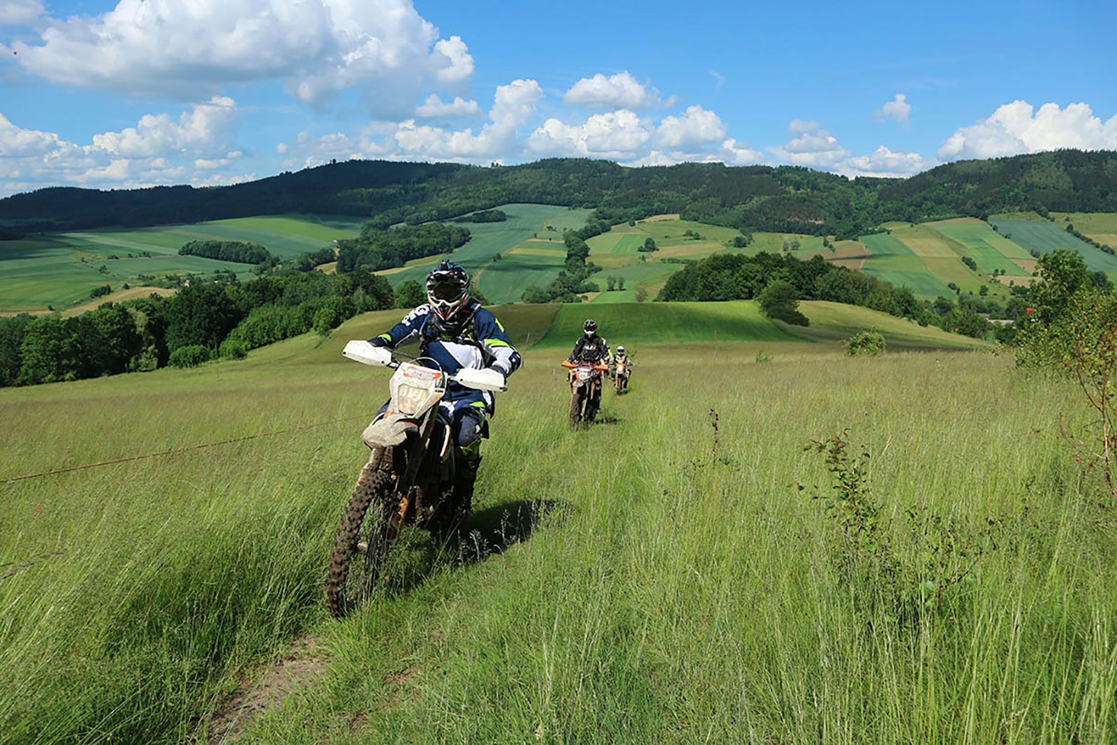 Czech Orange Weekend