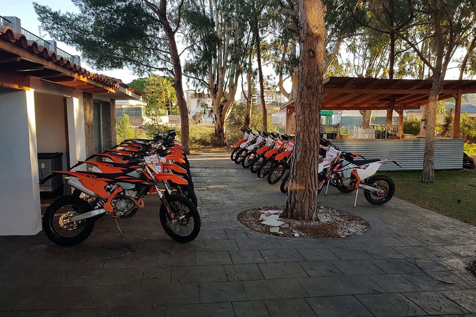 Spanish Orange Taste