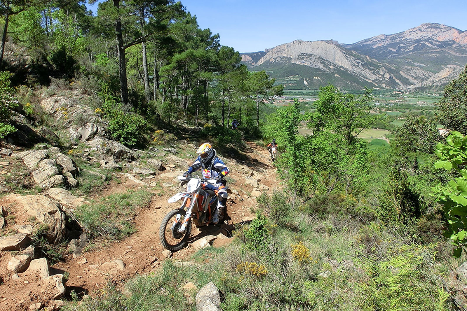 Spanish Orange Taste