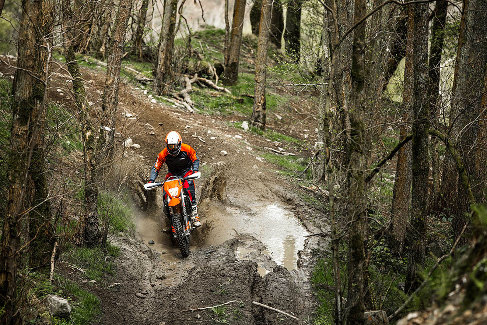 Veneto Enduro