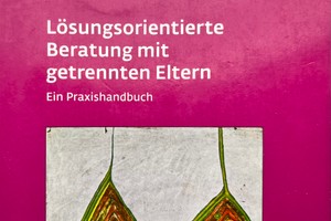 Lösungsorientierte Beratung mit getrennten Eltern - spezifische Themen