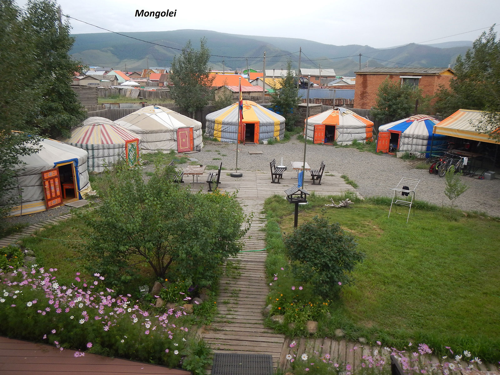 Kini's Easy Mongolia