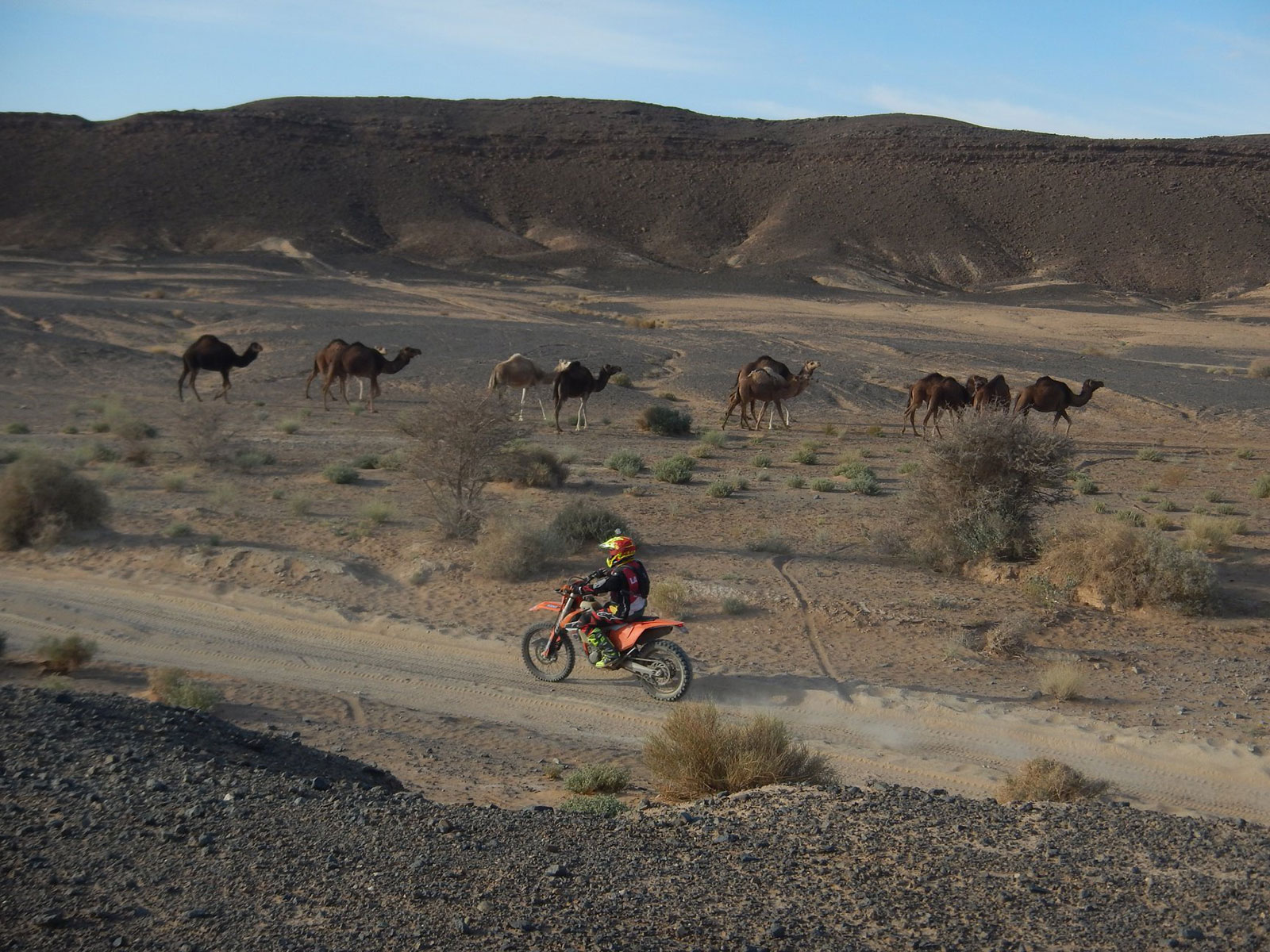 Kini's Morocco Atlas Tour