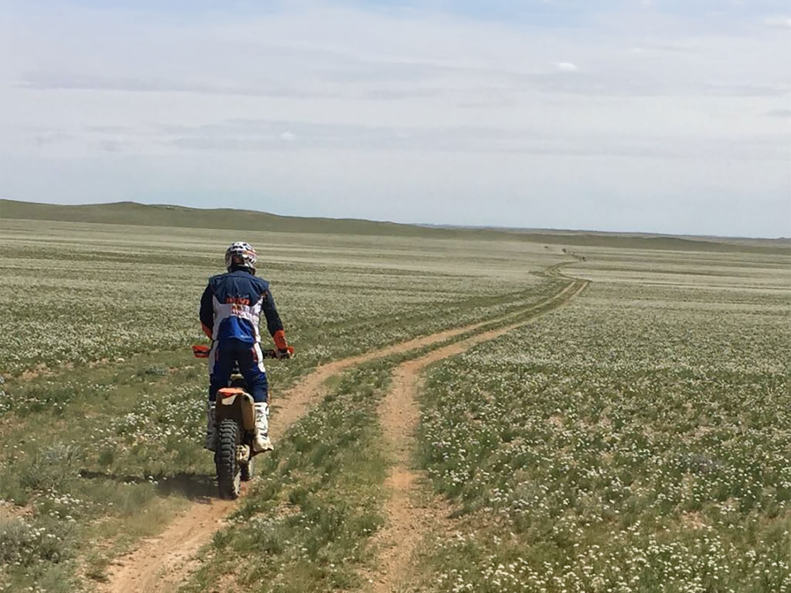 Kini's Easy Mongolia