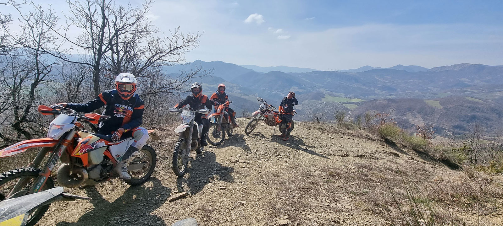 Bolognese Mountain 3